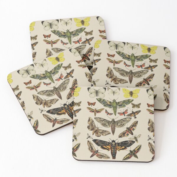 Item preview, Vintage Scientific Moth Reference Charts  designed and sold by wildtribe.