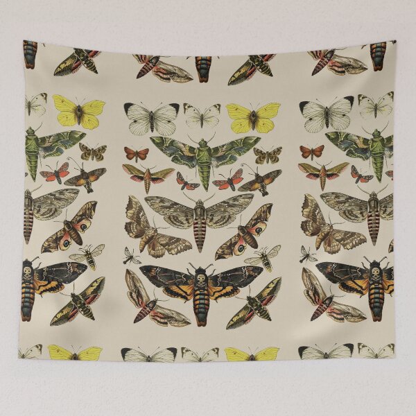 Item preview, Vintage Scientific Moth Reference Charts  designed and sold by wildtribe.