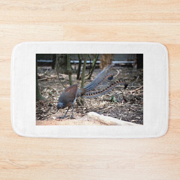 Item preview, Lyrebird Display designed and sold by GP1746.