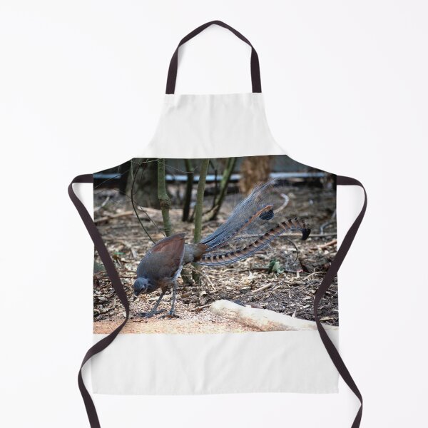 Item preview, Lyrebird Display designed and sold by GP1746.