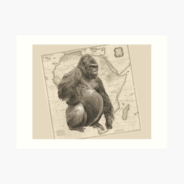 African Gorilla Art Art Print