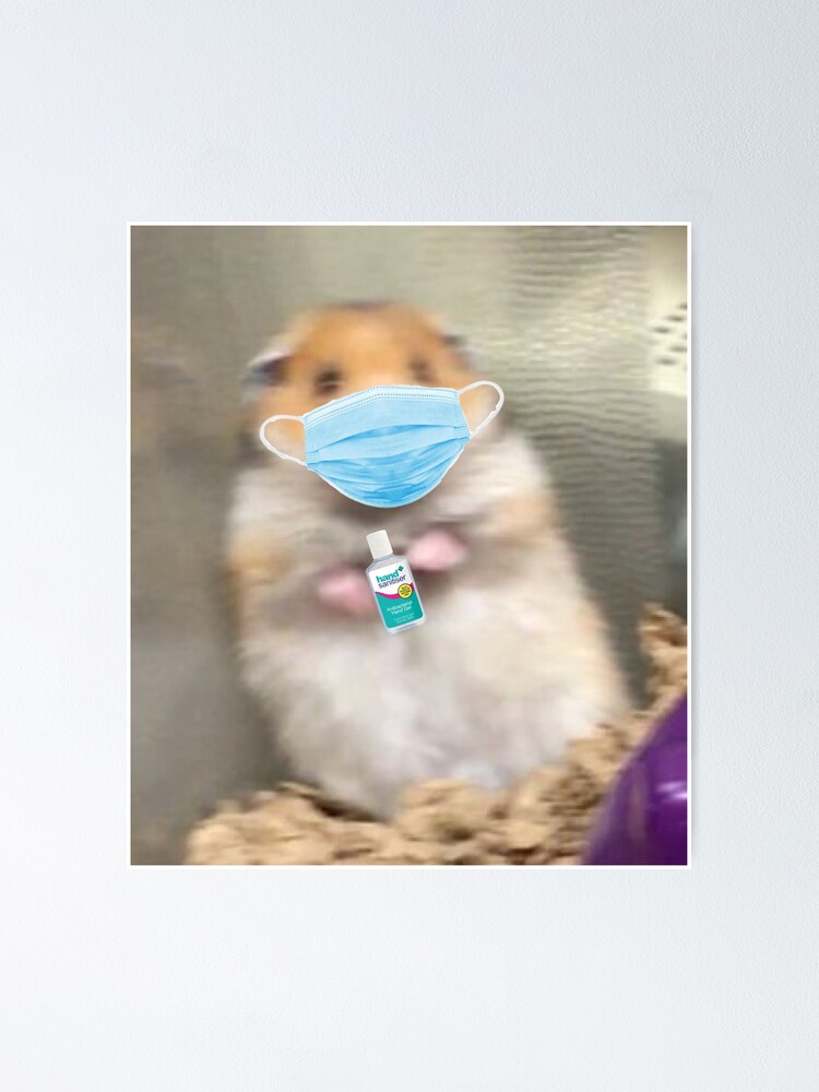 Scared Hamster Meme Coronavirus Edition Poster By Kayleedesigns Redbubble