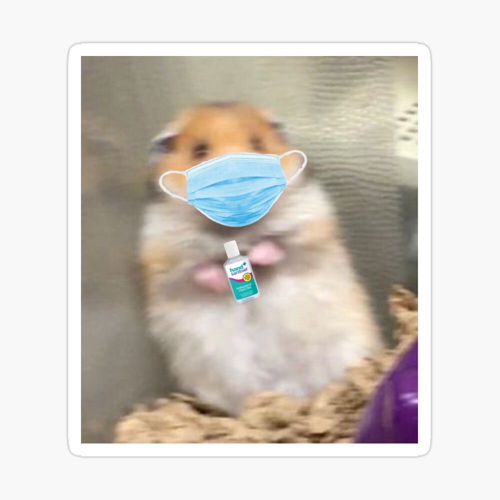 Scared Hamster Meme Coronavirus Edition Metal Print By Kayleedesigns Redbubble