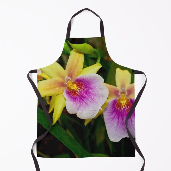 Item preview, Gorgeous Miltonia Sunset Orchid designed and sold by Mythos57.