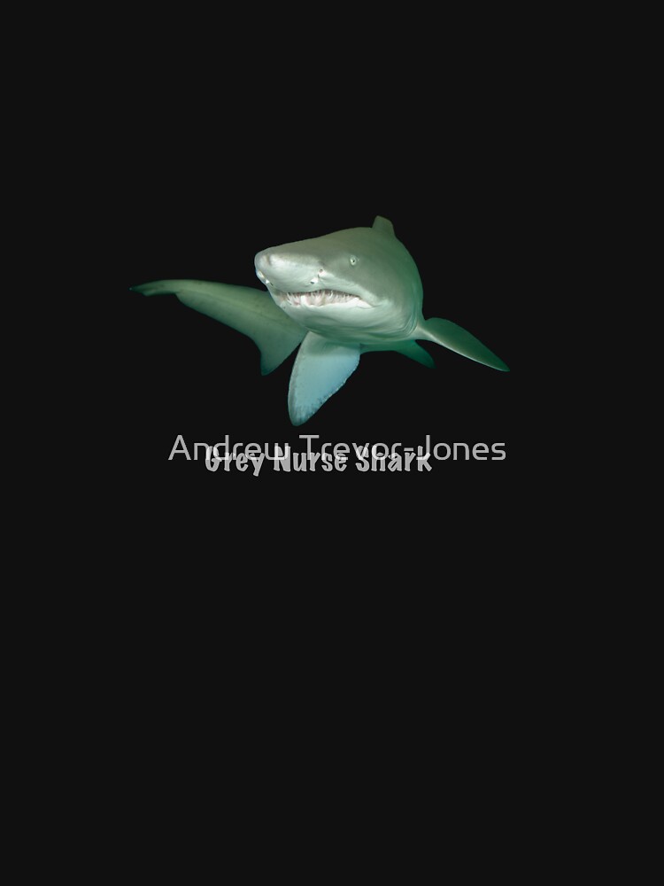 Grey nurse shark - T-shirt by andrewtj