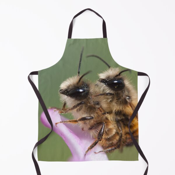 Item preview, Osmia rufa designed and sold by Mythos57.