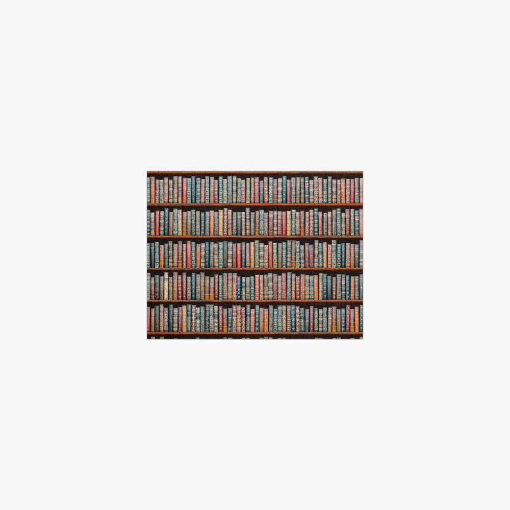 The Library Jigsaw Puzzle