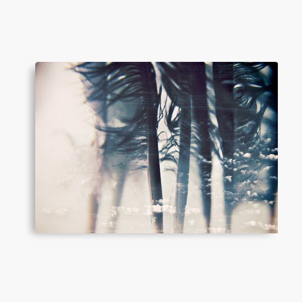 emotion: wishes Canvas Print