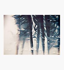 emotion: wishes Photographic Print