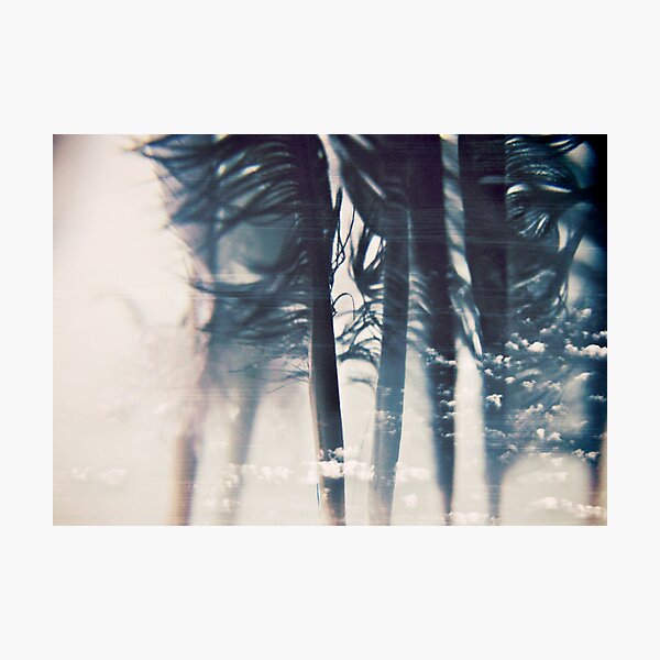 emotion: wishes Photographic Print