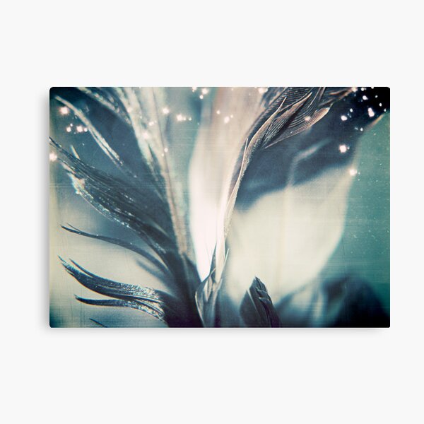 emotion: fulfillment Canvas Print