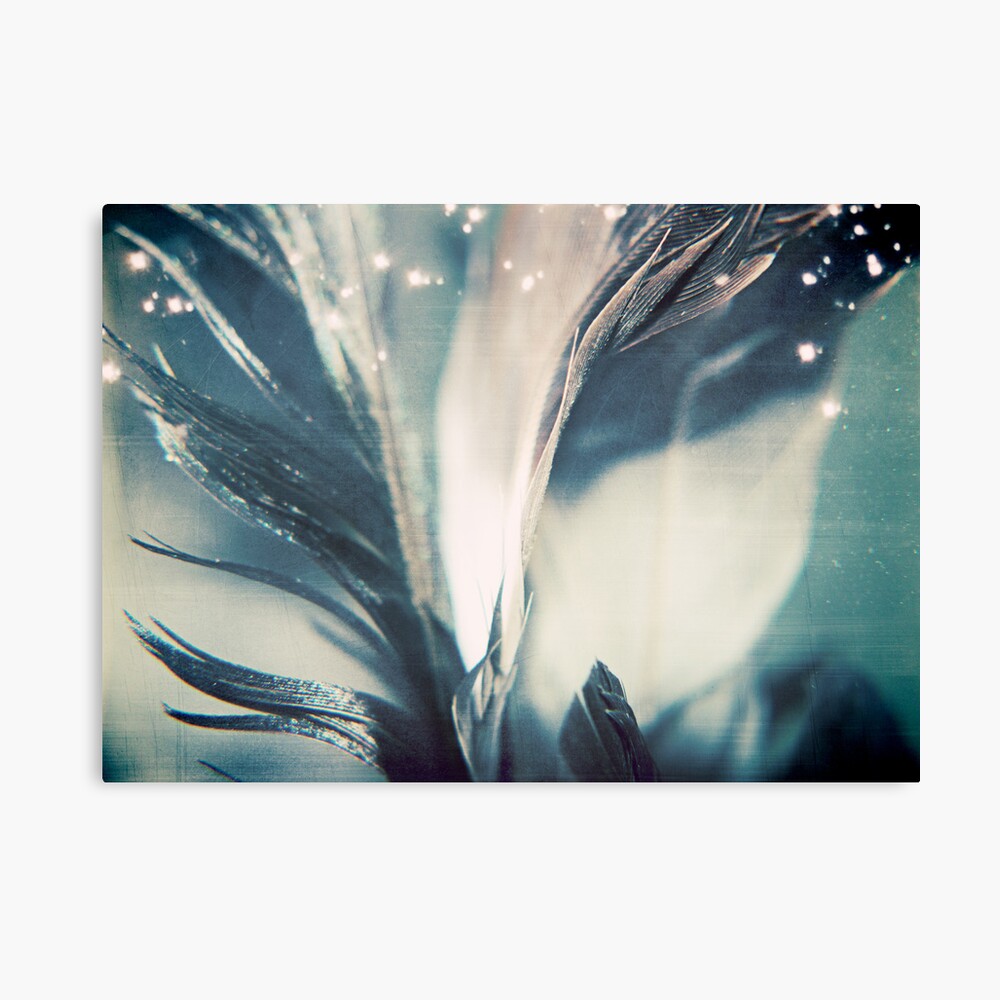 emotion: fulfillment Canvas Print