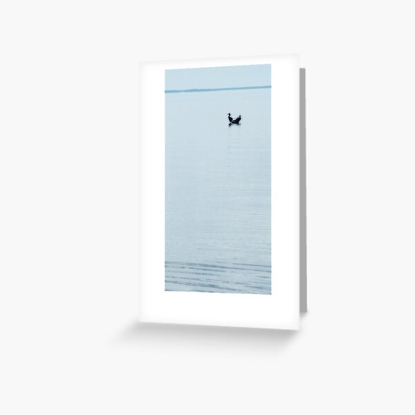 Cormorants and Calm Gulf Greeting Card