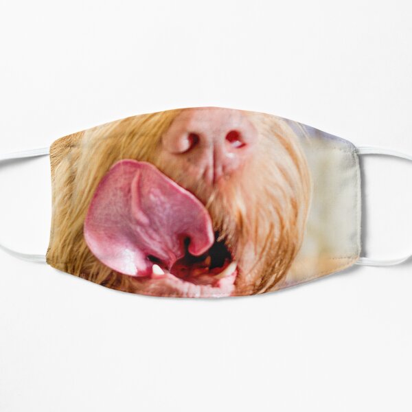 Delicious Spinone Flat Mask