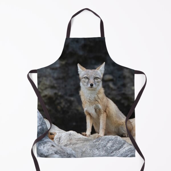 Item preview, Vulpes corsac designed and sold by Mythos57.