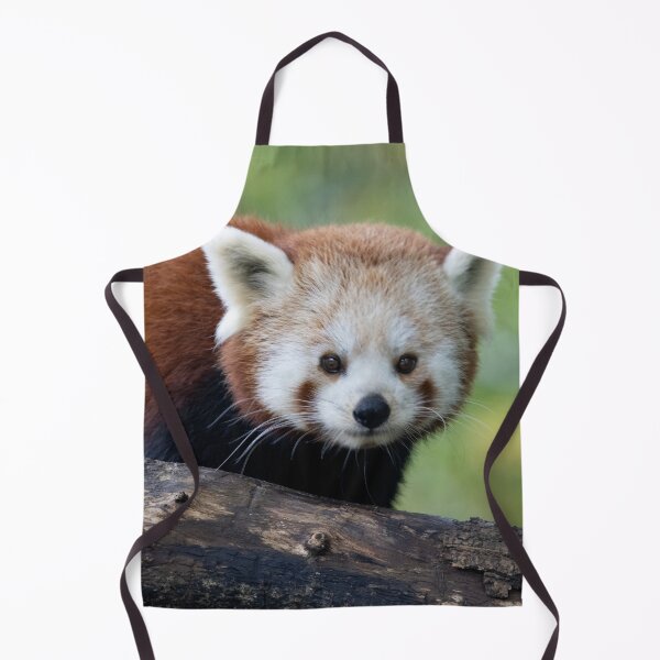 Item preview, Ailurus fulgens designed and sold by Mythos57.