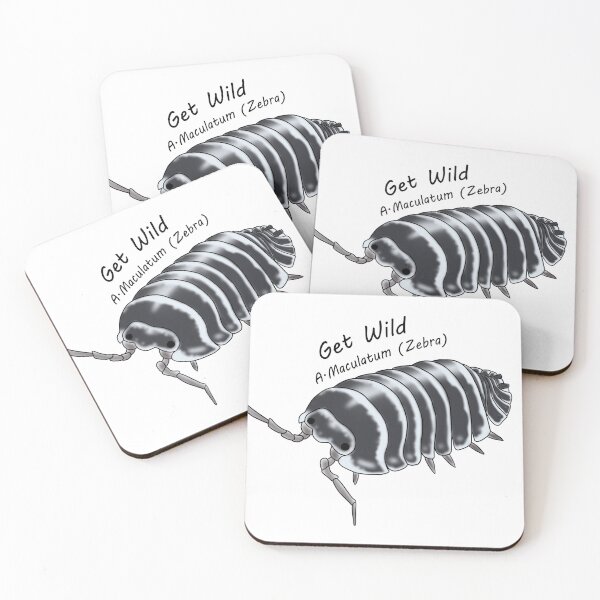 Item preview, A.Maculatum (zebra) Get wild designed and sold by Binkykun.