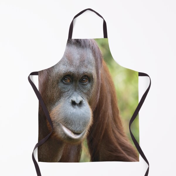 Item preview, Pongo pygmaeus designed and sold by Mythos57.