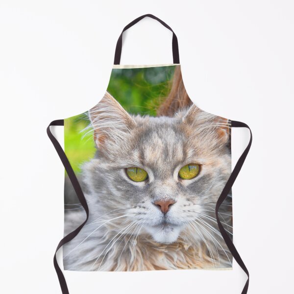 Item preview, Silver Maine Coone Mix designed and sold by Mythos57.