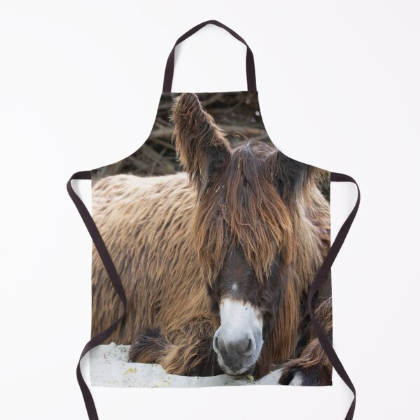 Item preview, Poitou Donkey designed and sold by Mythos57.