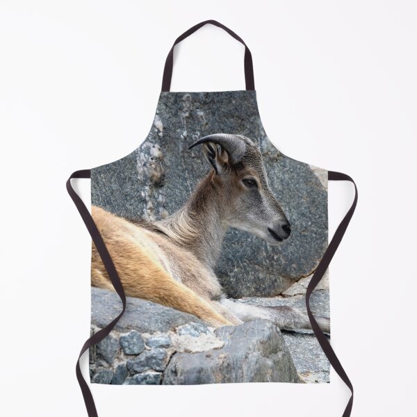 Item preview, Hemitragus jemlahicus designed and sold by Mythos57.