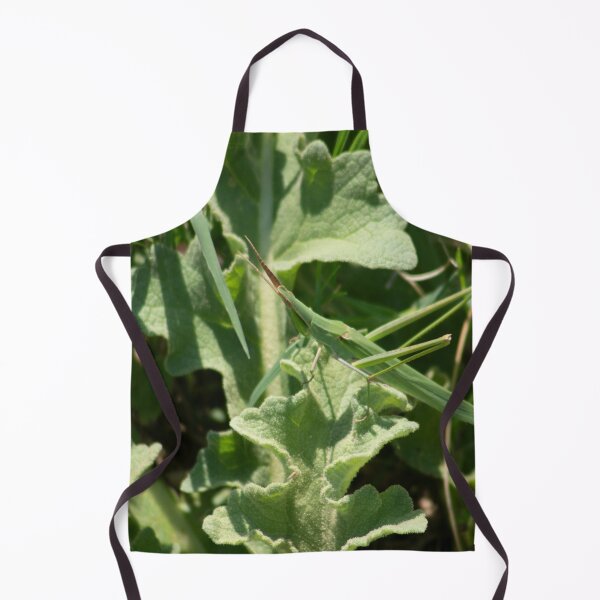 Item preview, Acrida ungarica designed and sold by Mythos57.