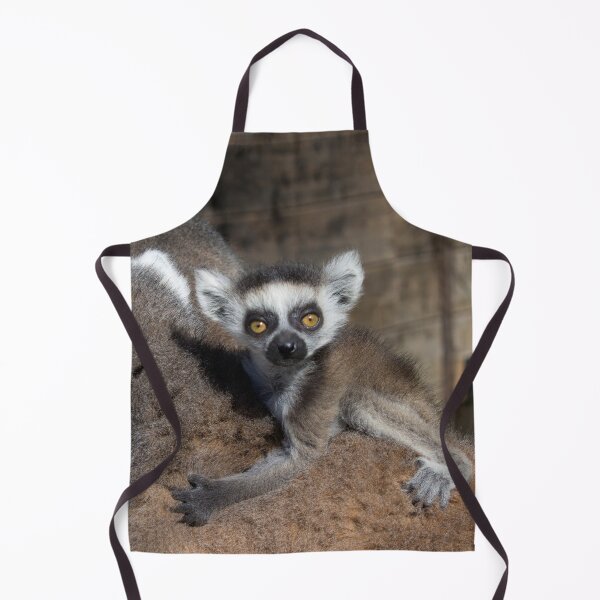 Item preview, Ring-Tailed Lemur Baby designed and sold by Mythos57.