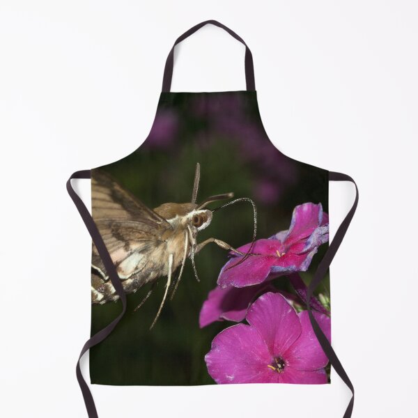 Item preview, Hyles gallii  designed and sold by Mythos57.