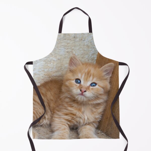 Item preview, Red Tabby Kitten designed and sold by Mythos57.