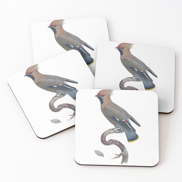 Item preview, Bohemian waxwing designed and sold by Photopicture.
