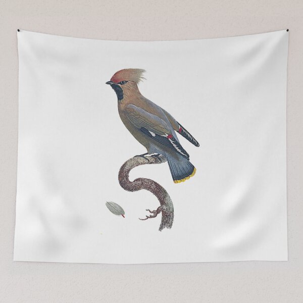Item preview, Bohemian waxwing designed and sold by Photopicture.