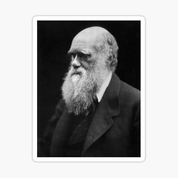 Darwin portrait Sticker