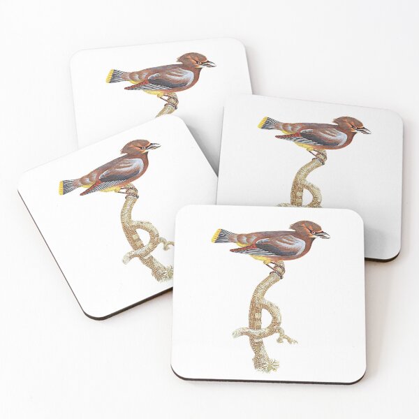 Item preview, Bohemian waxwing. designed and sold by Photopicture.