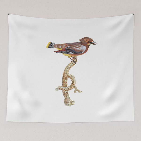 Item preview, Bohemian waxwing. designed and sold by Photopicture.