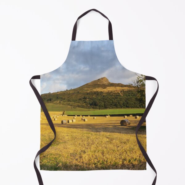 Item preview, Roseberry Topping designed and sold by grumpykeith.