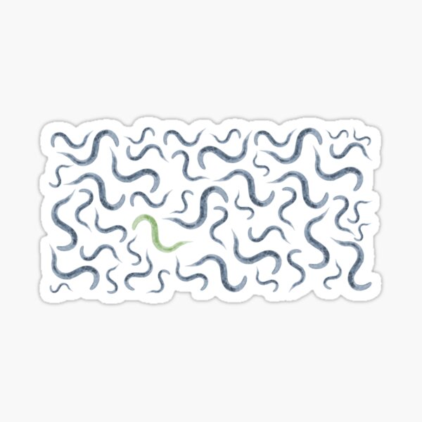 Caenorhabditis elegans Model Organism Biology Pattern Sticker