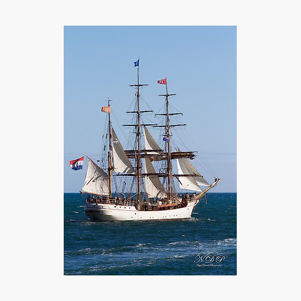 Bark Europa Photographic Print