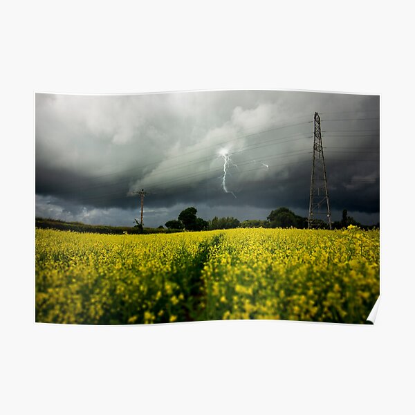 Rapeseed Days 4 Poster