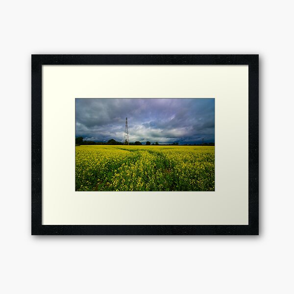 Rapeseed Days 5 Framed Art Print
