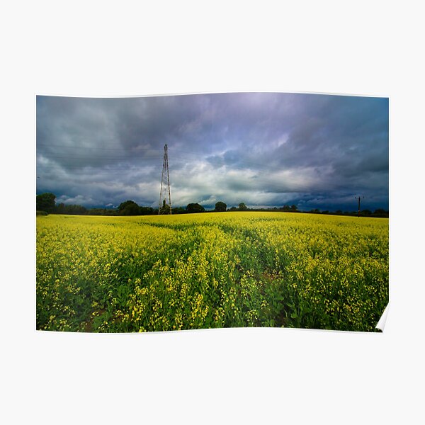 Rapeseed Days 5 Poster