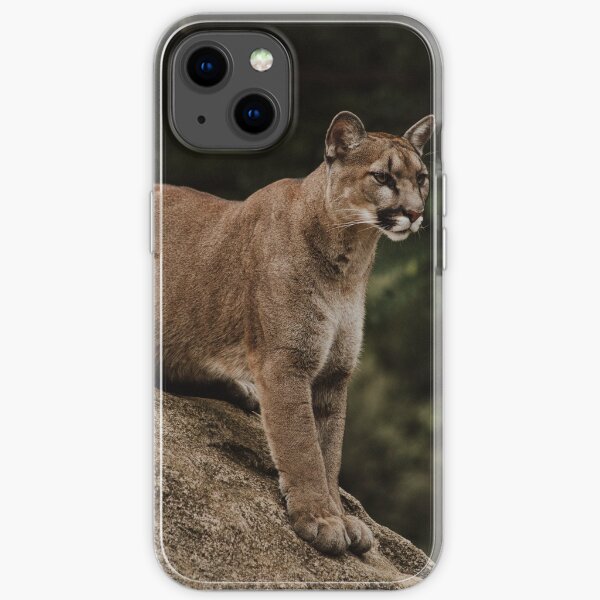 coque iphone 7 puma