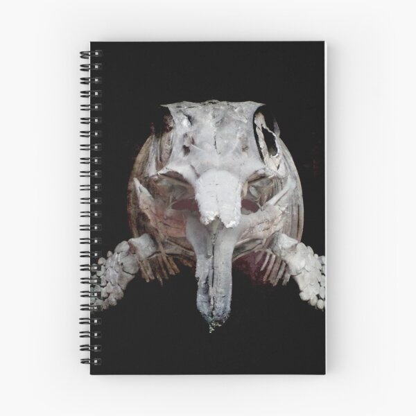 Item preview, Ophthalmosaurus designed and sold by Maria Tzamtzi.
