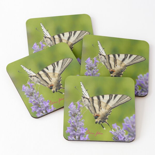 Aperçu de l'œuvre Papillon machaon rare créée et vendue par EdwinJohn.