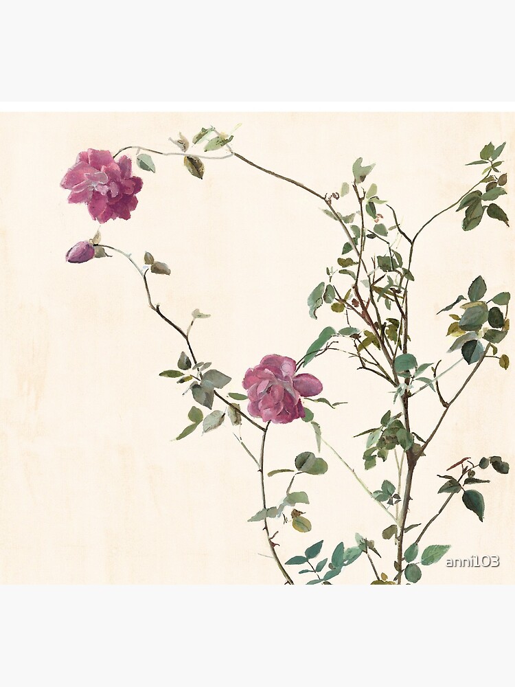Rose against the wall by anni103