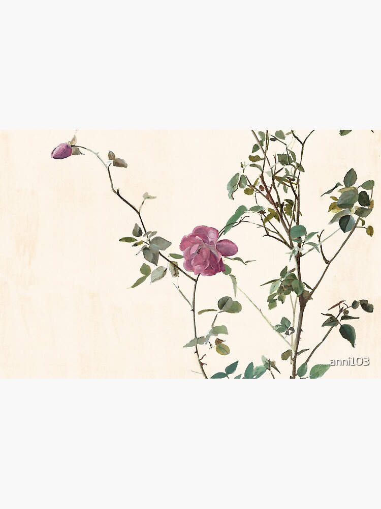 Rose against the wall by anni103