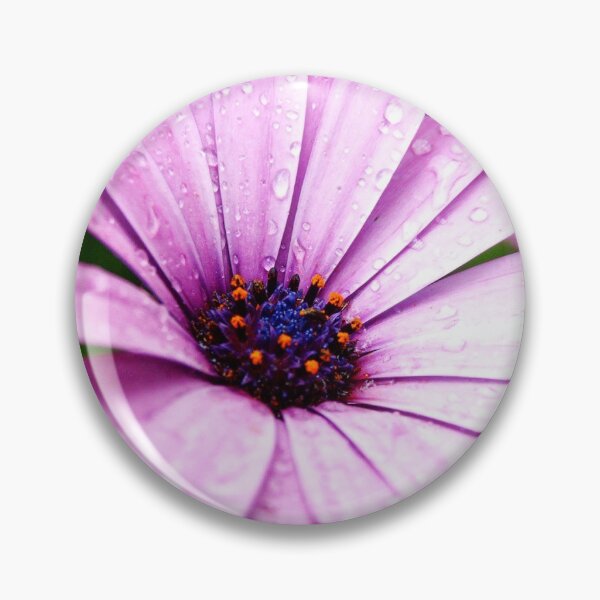 Item preview, flower shower designed and sold by webgrrl.