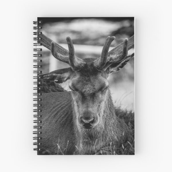 Item preview, Deer Park at Tatton 1 designed and sold by outlawalien.
