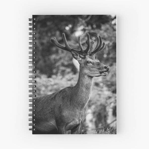 Item preview, Deer Park at Tatton 2 designed and sold by outlawalien.