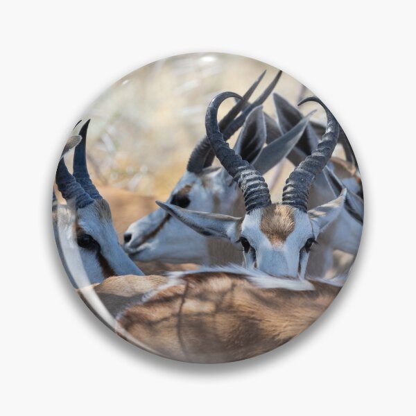 Item preview, Springbok Huddle designed and sold by AnthonyZed.
