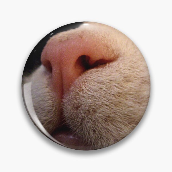 Item preview, Black and White Cat Nose designed and sold by Manic-Spider.